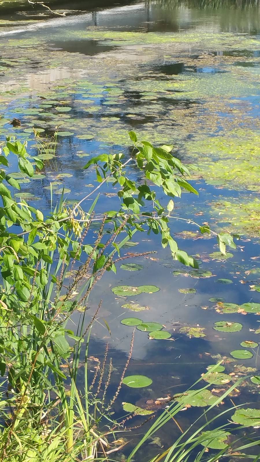 Chubbys Restaurant | restaurant | 2830 County Rd 8, Campbellford, ON K0L 1L0, Canada | 7056532908 OR +1 705-653-2908