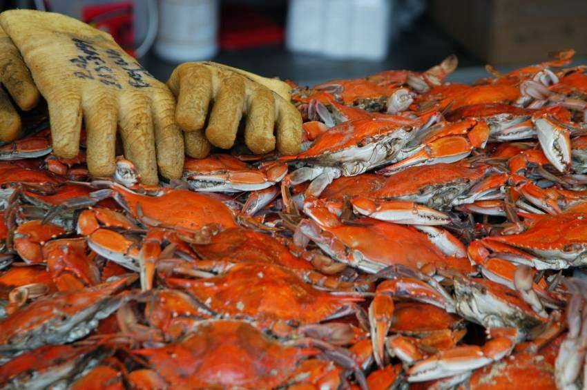 Garrison Dining Services | restaurant | 11115 Reisterstown Rd, Owings Mills, MD 21117, USA | 4103632346 OR +1 410-363-2346