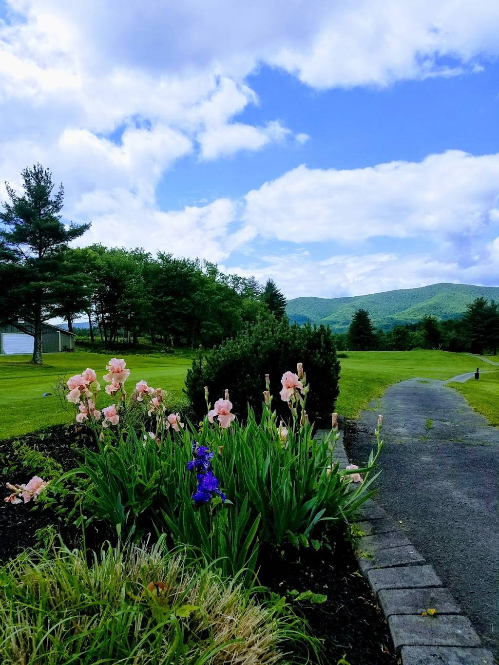 The W Bar + Grill | restaurant | 137 New Ashford Rd, Williamstown, MA 01267, USA | 4134585869 OR +1 413-458-5869