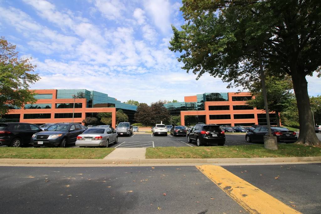 Capitol Deli | restaurant | 7600 Leesburg Pike # B, Falls Church, VA 22043, USA | 7034481166 OR +1 703-448-1166