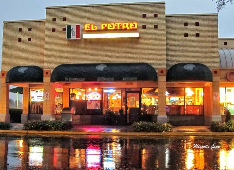 El Potro Mexican Restaurant | restaurant | 4666 S Kirkman Rd, Orlando, FL 32811, USA | 4077810395 OR +1 407-781-0395