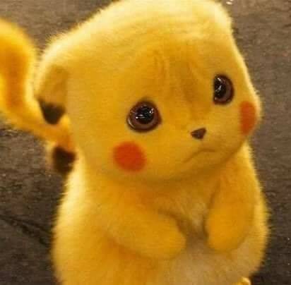 El Agavero | restaurant | 7657 US-70S, Nashville, TN 37221, USA | 6156737365 OR +1 615-673-7365