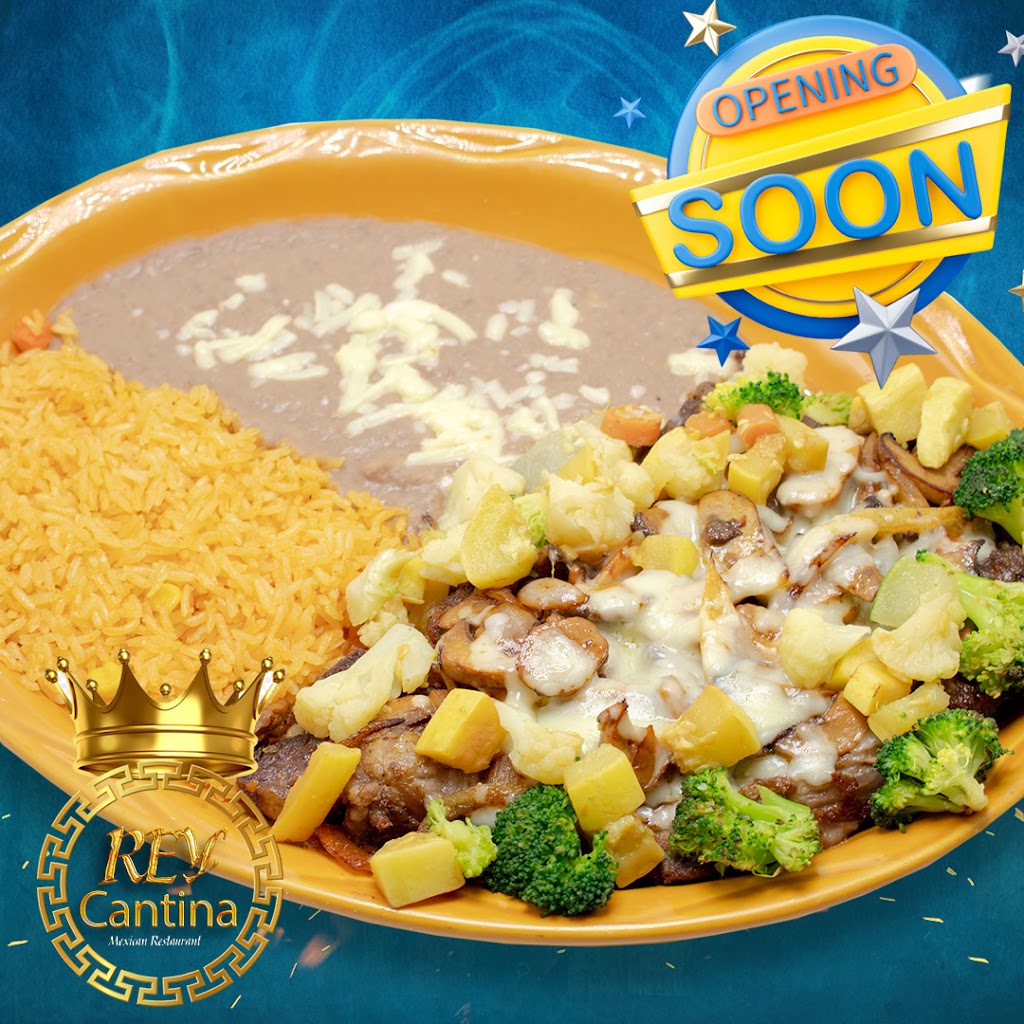 Rey Cantina | restaurant | 55545 US-231, Oneonta, AL 35121, USA | 2564958304 OR +1 256-495-8304