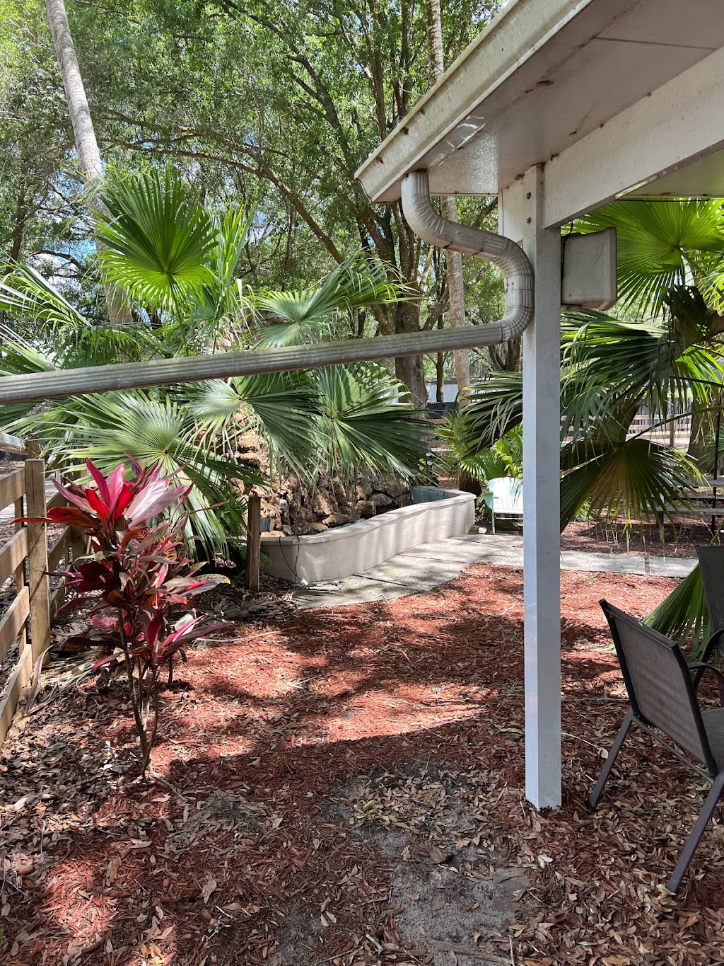 Coming soon | restaurant | 8515 US Hwy 98 N, Lakeland, FL 33809, USA | 8637128286 OR +1 863-712-8286