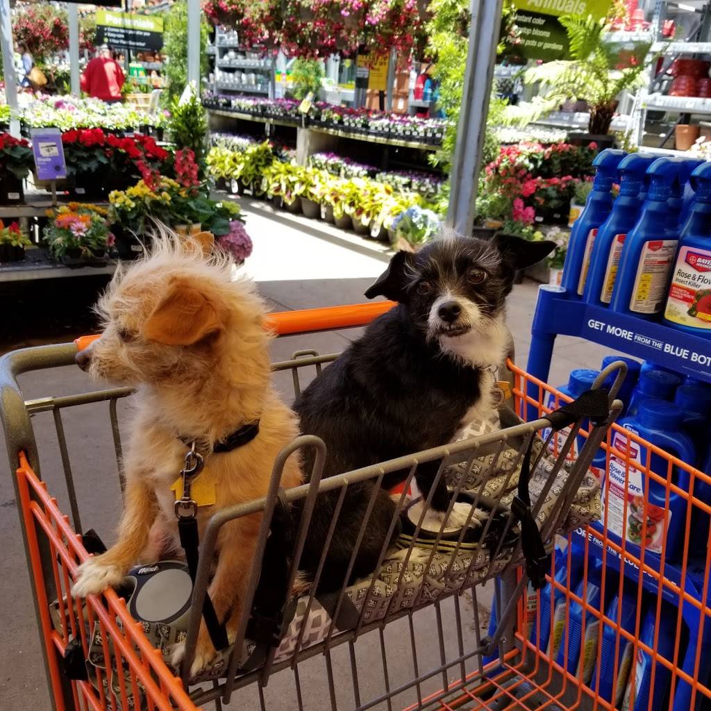 McDonalds | cafe | 1570 Sycamore Ave, Hercules, CA 94547, USA | 5102450912 OR +1 510-245-0912