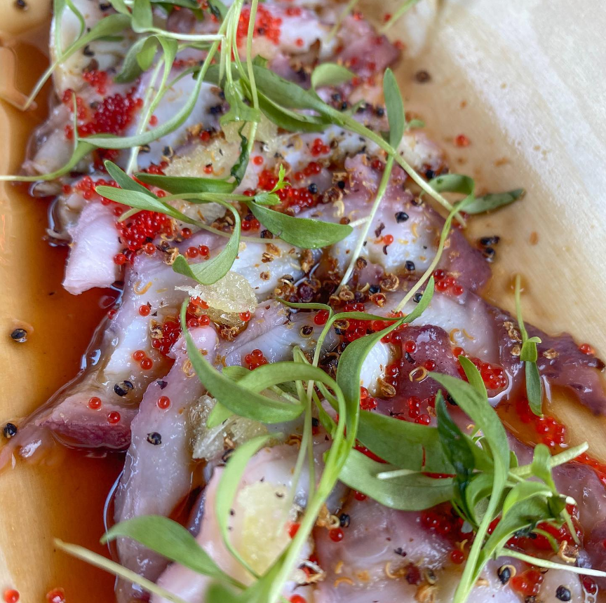 Kraken Crudo | meal takeaway | 3525 NE 2nd Ave, Miami, FL 33137, USA | 3054562804 OR +1 305-456-2804