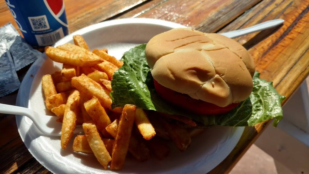 Paradise Grille | restaurant | 900 Gulf Way, Pass-a-Grille Beach, FL 33706, USA | 7279548957 OR +1 727-954-8957