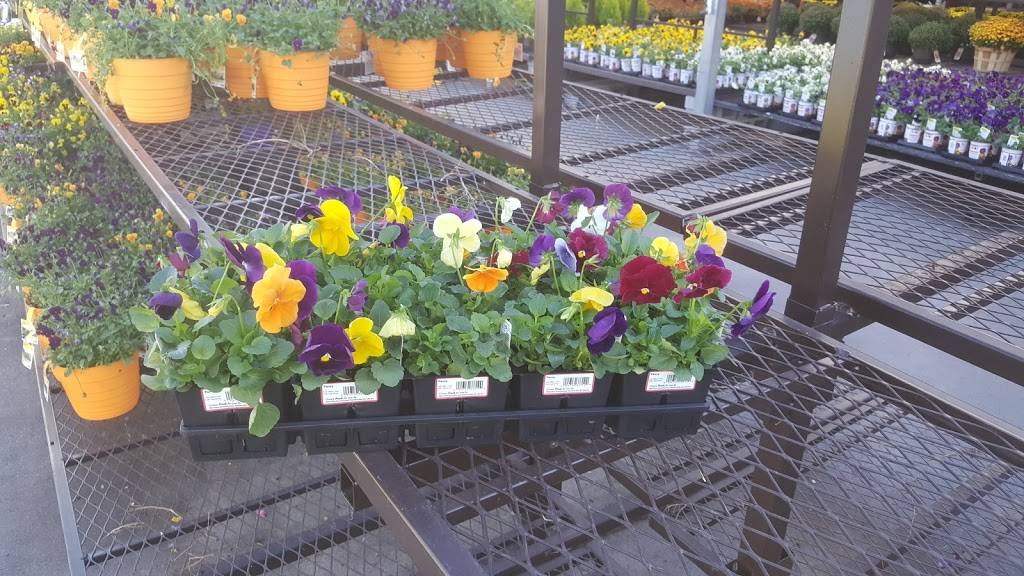 Providence Commons | shopping mall | 10612-10620 Providence Rd, Charlotte, NC 28277, USA | 9198314900 OR +1 919-831-4900