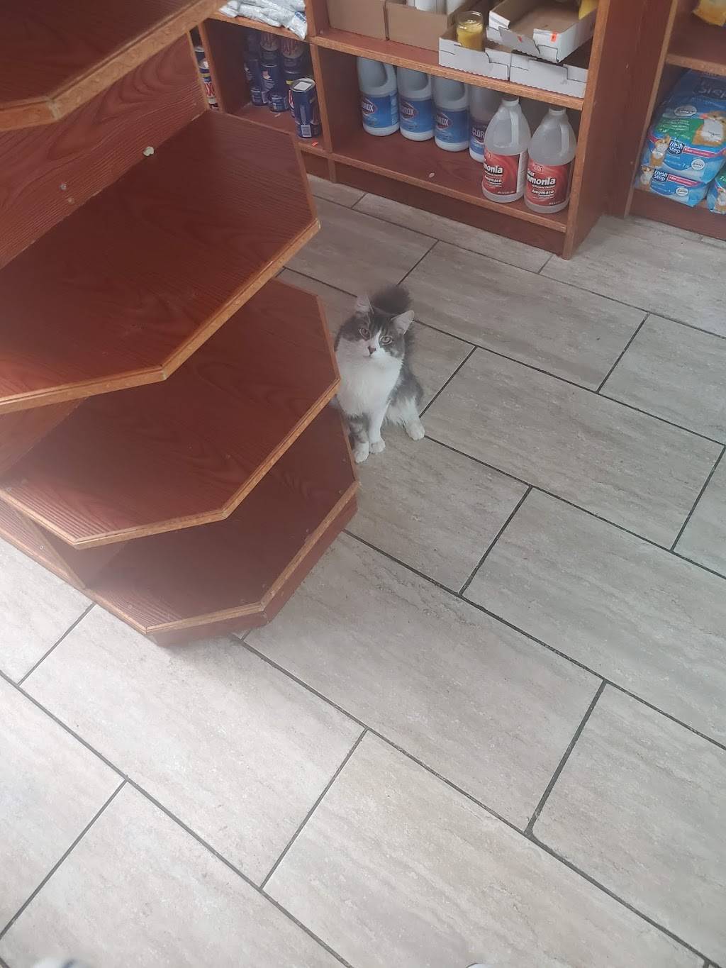 La Isla Food Corporation | restaurant | 1918 Lacombe Ave, The Bronx, NY 10473, USA | 7183284220 OR +1 718-328-4220