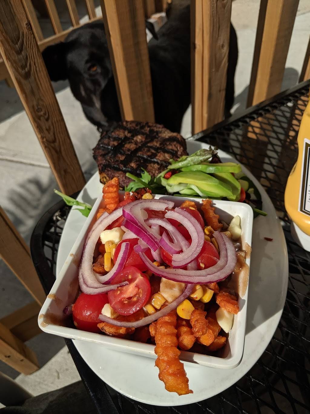 The Acoustic Grill | restaurant | 172 Picton Main St, Picton, ON K0K 2T0, Canada | 6134762887 OR +1 613-476-2887