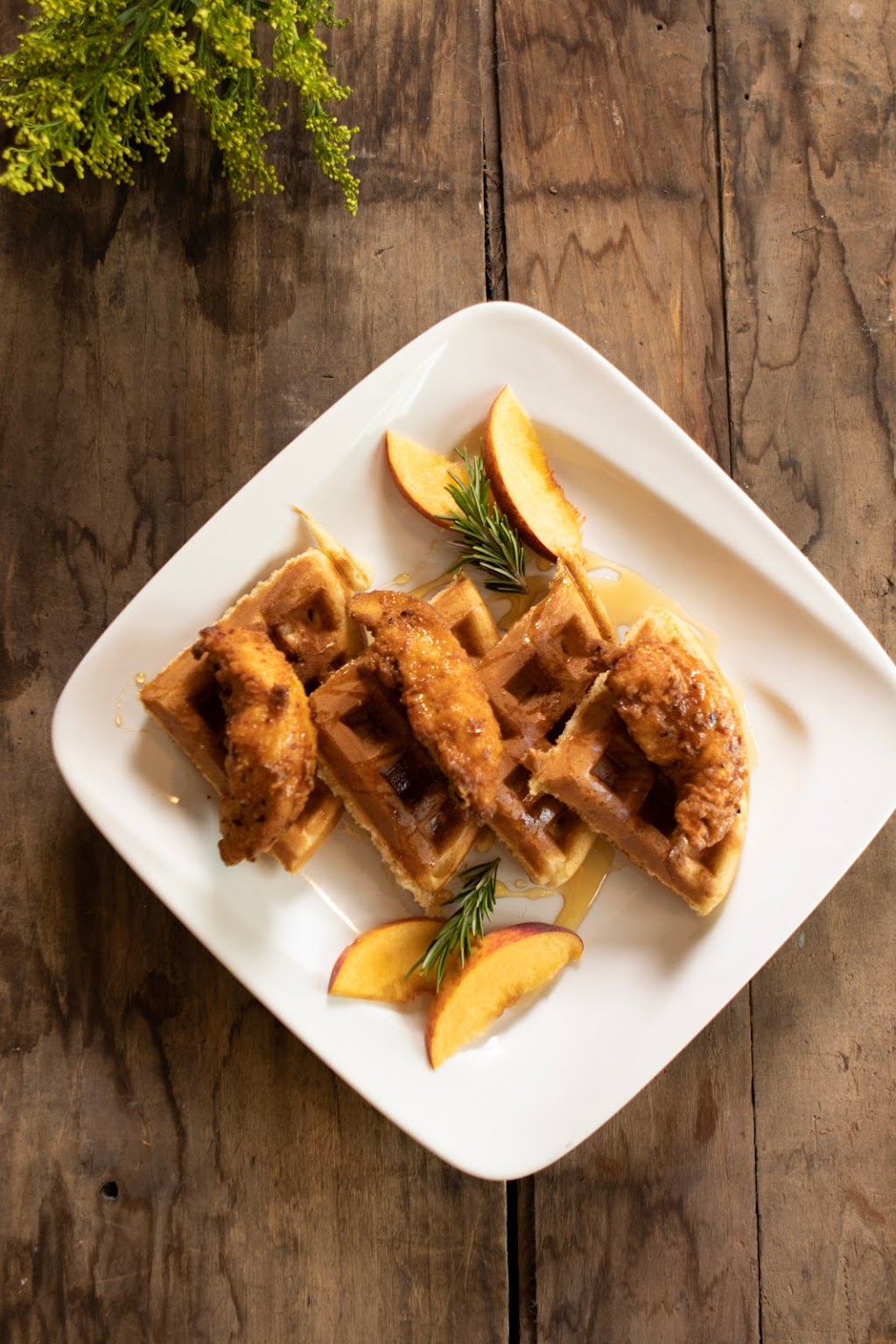 The Fern & Fable | restaurant | 39 Conestoga Rd, Malvern, PA 19355, USA | 6106471900 OR +1 610-647-1900