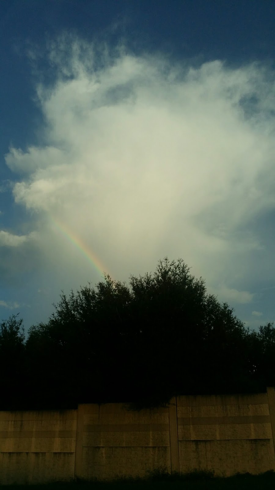 Your Place | restaurant | 605 S Hopkins Ave, Titusville, FL 32796, USA | 3212681811 OR +1 321-268-1811