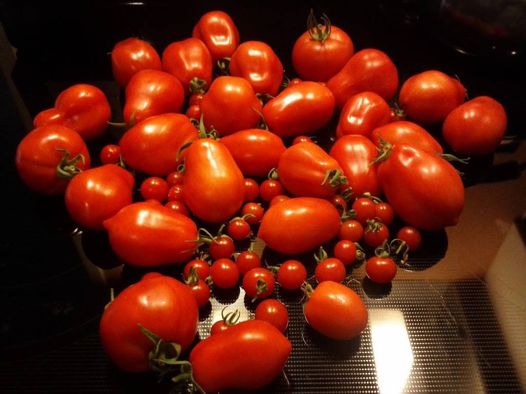 Sparks | restaurant | 299 N Church St, Spartanburg, SC 29306, USA | 8645961211 OR +1 864-596-1211