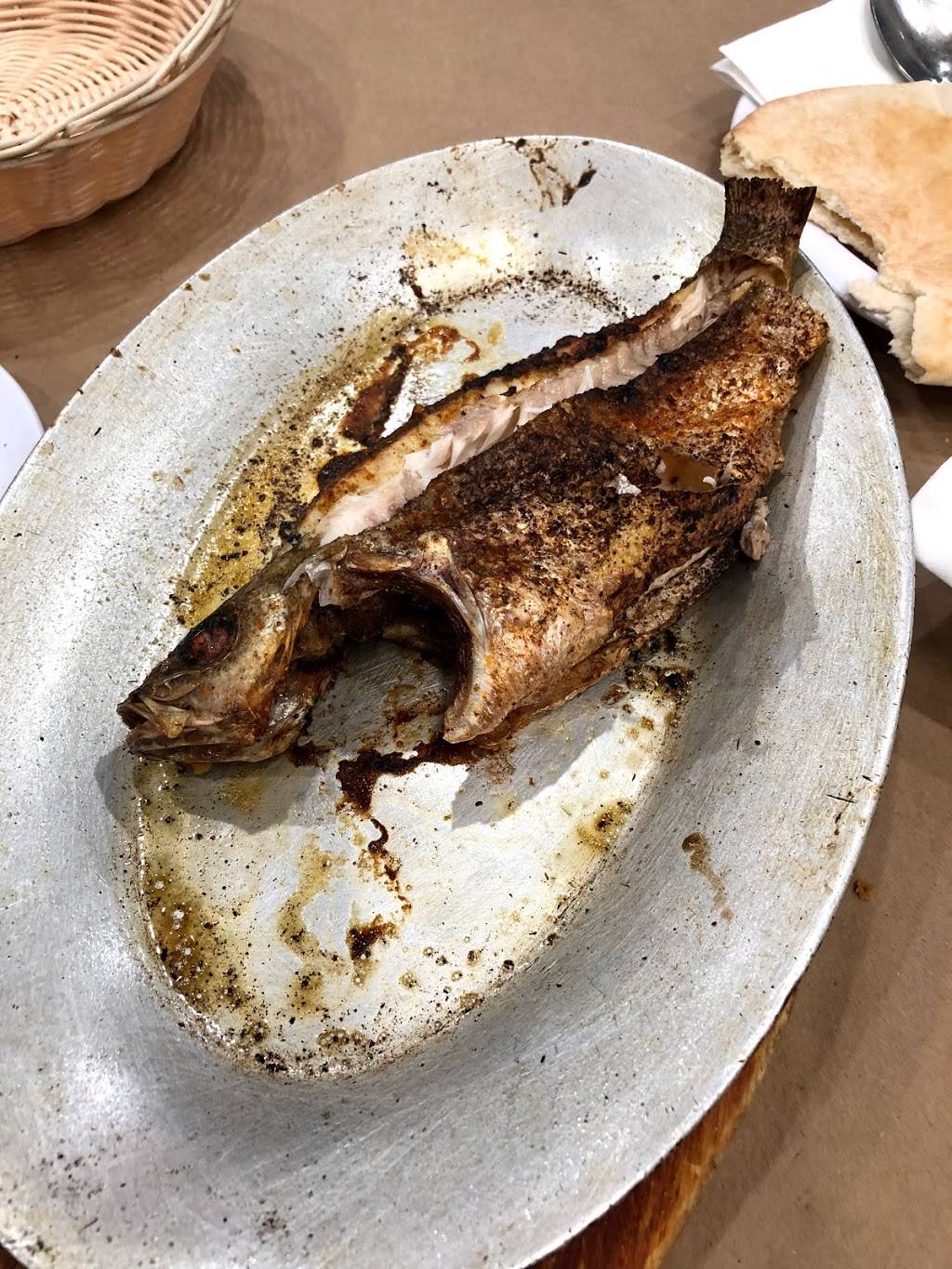 Abuqir | restaurant | 24-19 Steinway St, Astoria, NY 11103, USA | 7182743474 OR +1 718-274-3474