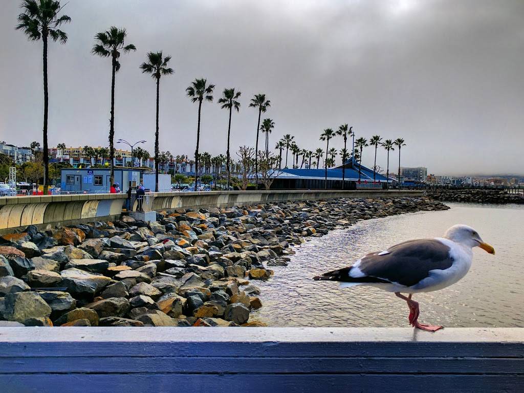 Pollys on the Pier | cafe | 160 International Boardwalk, Redondo Beach, CA 90277, USA | 3103183736 OR +1 310-318-3736