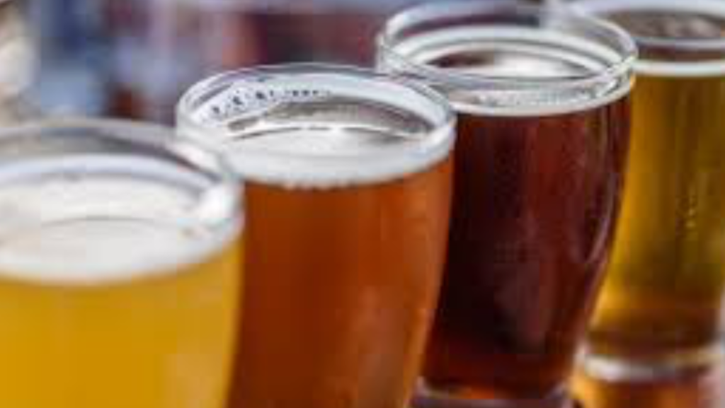 Hotdog Burger Cheese | restaurant | 2018 Glenwood Shopping Plaza, Oneida, NY 13421, USA | 3159970820 OR +1 315-997-0820