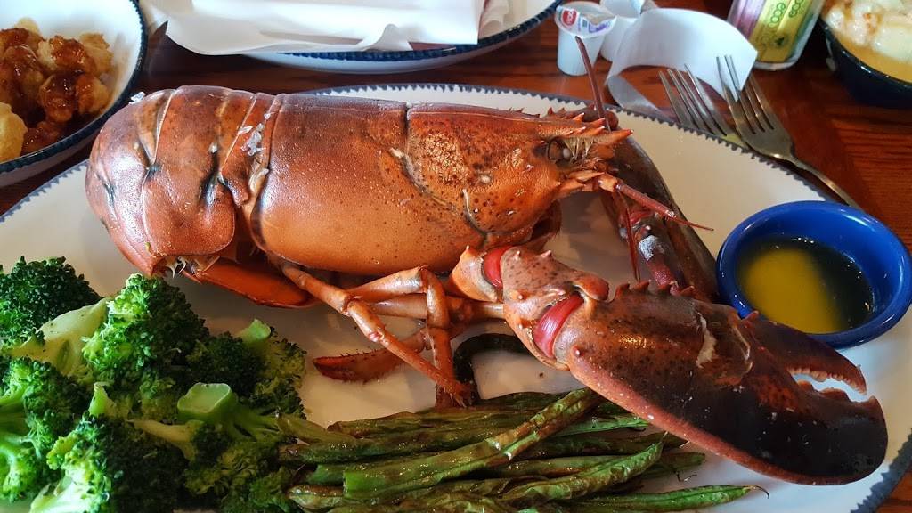 Red Lobster | restaurant | 20831 NY-3, Watertown, NY 13601, USA | 3157861016 OR +1 315-786-1016