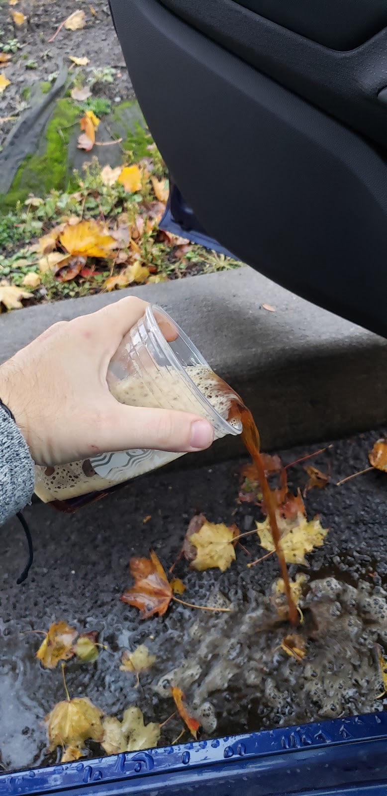 Starbucks | cafe | 160 Grant Ave, Auburn, NY 13021, USA | 3152525533 OR +1 315-252-5533