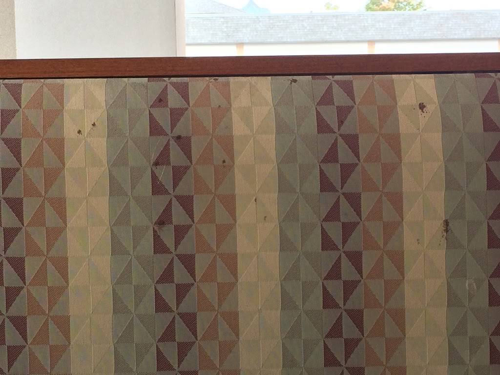 Brueggers Bagels | bakery | 1831 Martin Luther King Jr Pkwy, Durham, NC 27707, USA | 9194013700 OR +1 919-401-3700