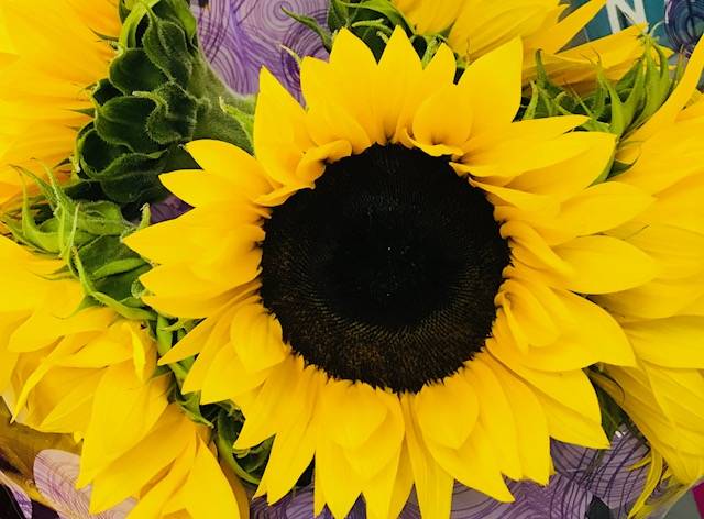 Exxon 595 | restaurant | 13000 W State Rd 84, Davie, FL 33325, USA | 9544760134 OR +1 954-476-0134