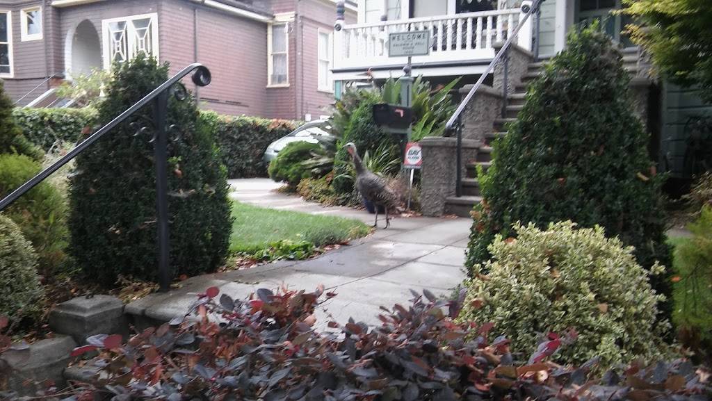 Little Joes Express | restaurant | 1410 Encinal Ave, Alameda, CA 94501, USA | 5102178687 OR +1 510-217-8687