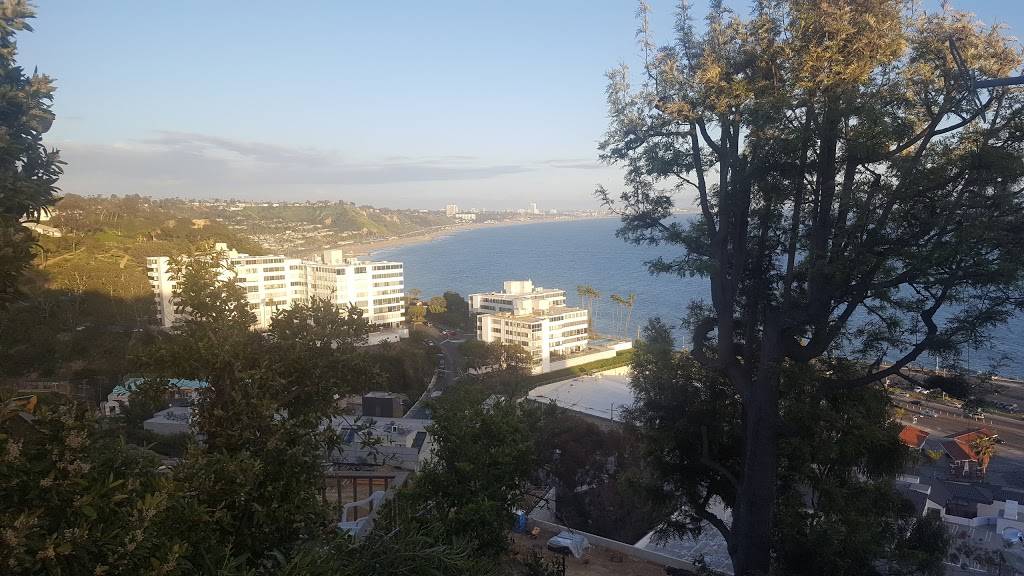 Caffé Delfini | restaurant | 147 W Channel Rd, Santa Monica, CA 90402, USA | 3104598823 OR +1 310-459-8823