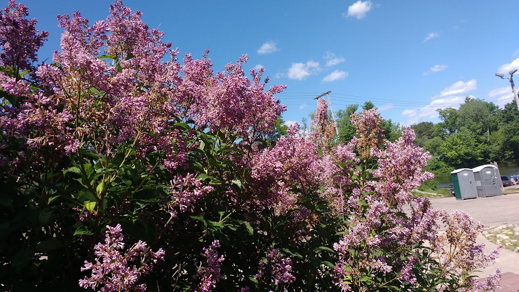 Moon Valley Resort Bait Shop | restaurant | E13105 WI-113, Merrimac, WI 53561, USA | 6084932706 OR +1 608-493-2706