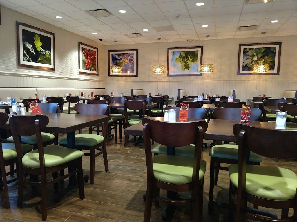 The Original Pancake House | restaurant | 5140 W 159th St, Oak Forest, IL 60452, USA | 7086878282 OR +1 708-687-8282