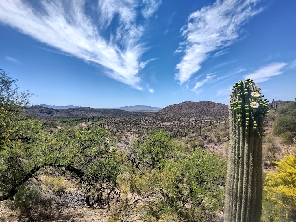 Colossal Cave Mountain Park | restaurant | 16721 E Old Spanish Trail, Vail, AZ 85641, USA | 5206477275 OR +1 520-647-7275