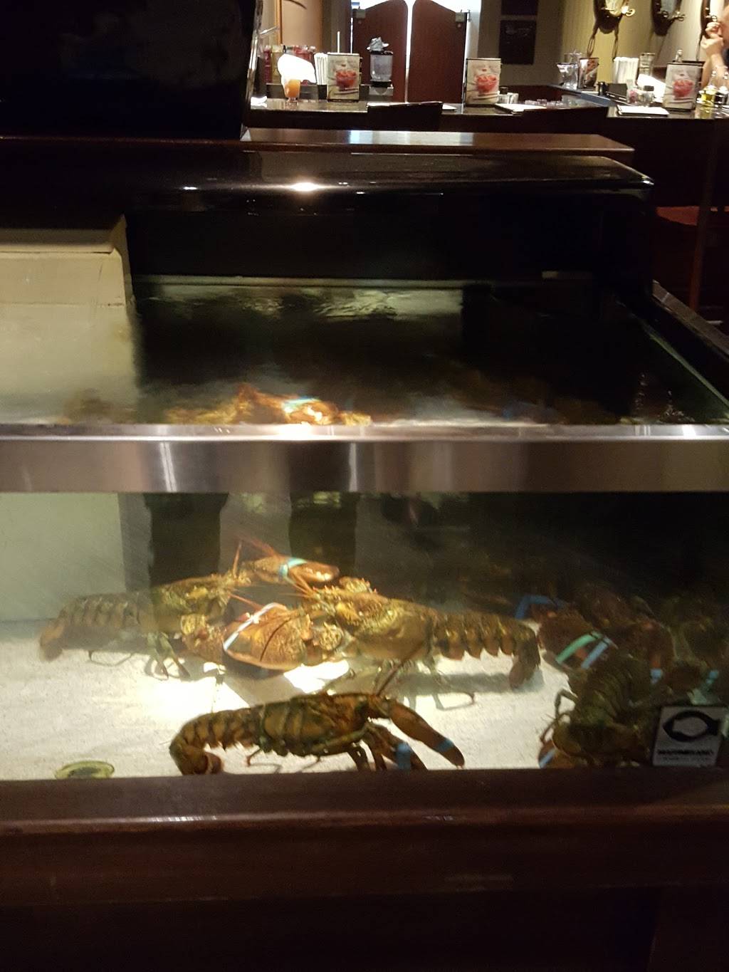 Red Lobster | restaurant | 1525 Travis Blvd, Fairfield, CA 94533, USA | 7074218292 OR +1 707-421-8292
