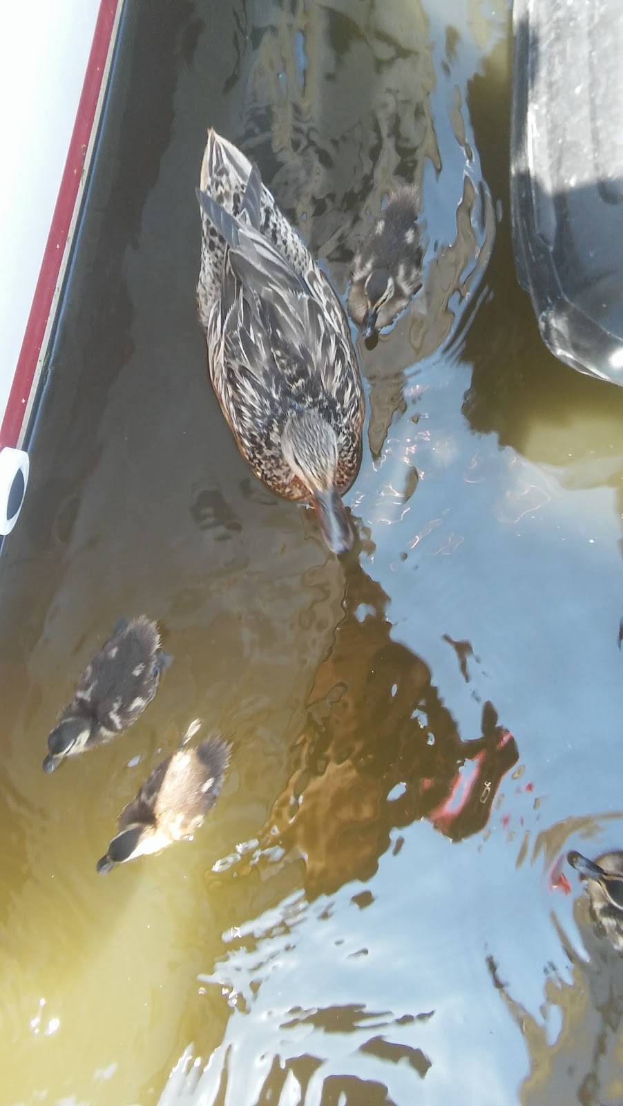 Shore Casino | restaurant | 1 Simon Lake Dr, Atlantic Highlands, NJ 07716, USA | 7322914300 OR +1 732-291-4300