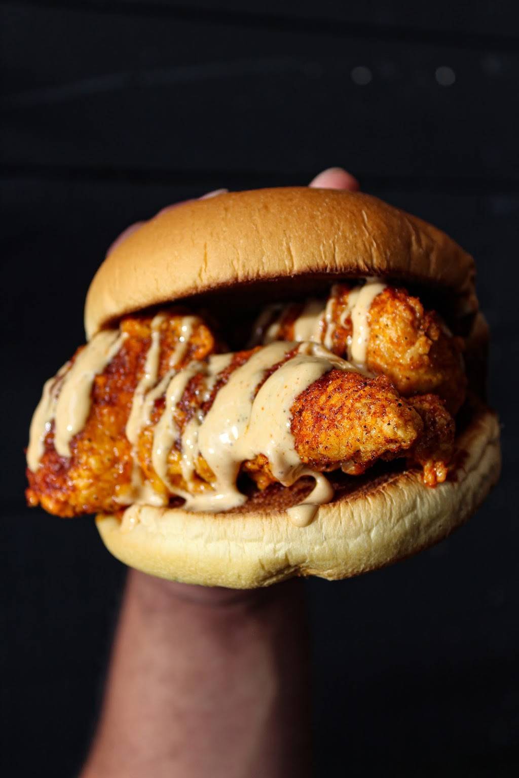 King of the Coop | restaurant | 27835 Wesley Chapel Blvd Unit 102, Wesley Chapel, FL 33544, USA | 8133882684 OR +1 813-388-2684