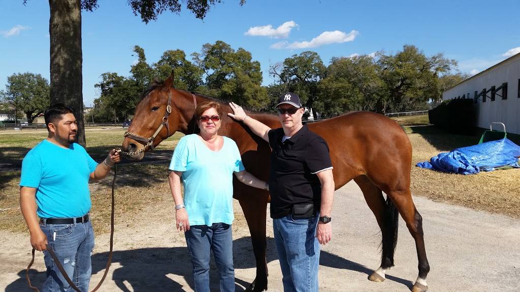 Foschinis Brick Oven Kitchen | restaurant | 21 E Madison Ave, Dumont, NJ 07628, USA | 2013879998 OR +1 201-387-9998