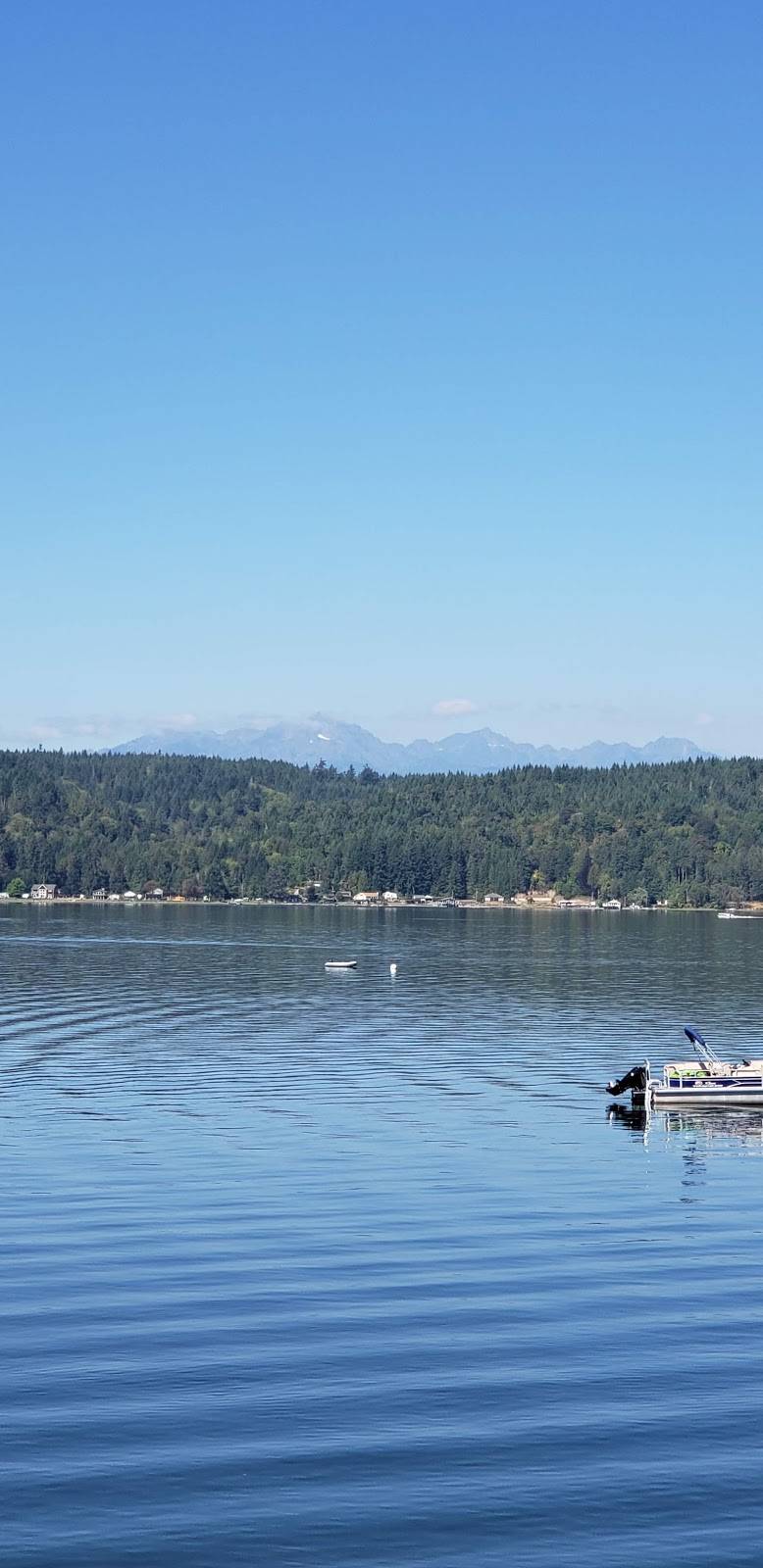 D D Denotta Seafood Company | restaurant | 17321 WA-106, Belfair, WA 98528, USA | 3605522085 OR +1 360-552-2085