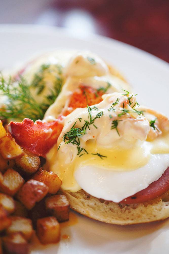 Firefly American Bistro & Bar | restaurant | 22 Concord St, Manchester, NH 03101, USA | 6039359740 OR +1 603-935-9740