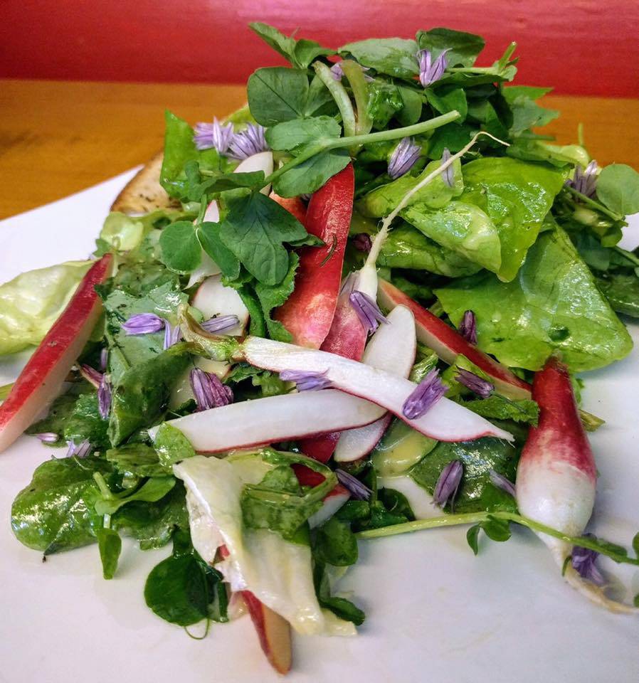 Terra Luna | restaurant | 104 Shore Rd, North Truro, MA 02652, USA | 5084871019 OR +1 508-487-1019