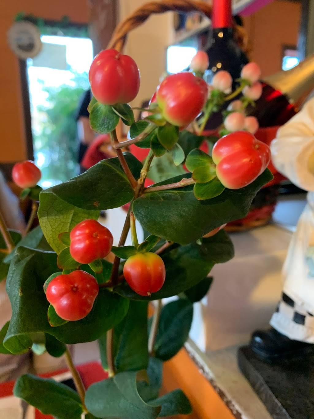 La Sorrentina Italian Restaurant | restaurant | 3330 Culebra Rd, San Antonio, TX 78228, USA | 2105490889 OR +1 210-549-0889