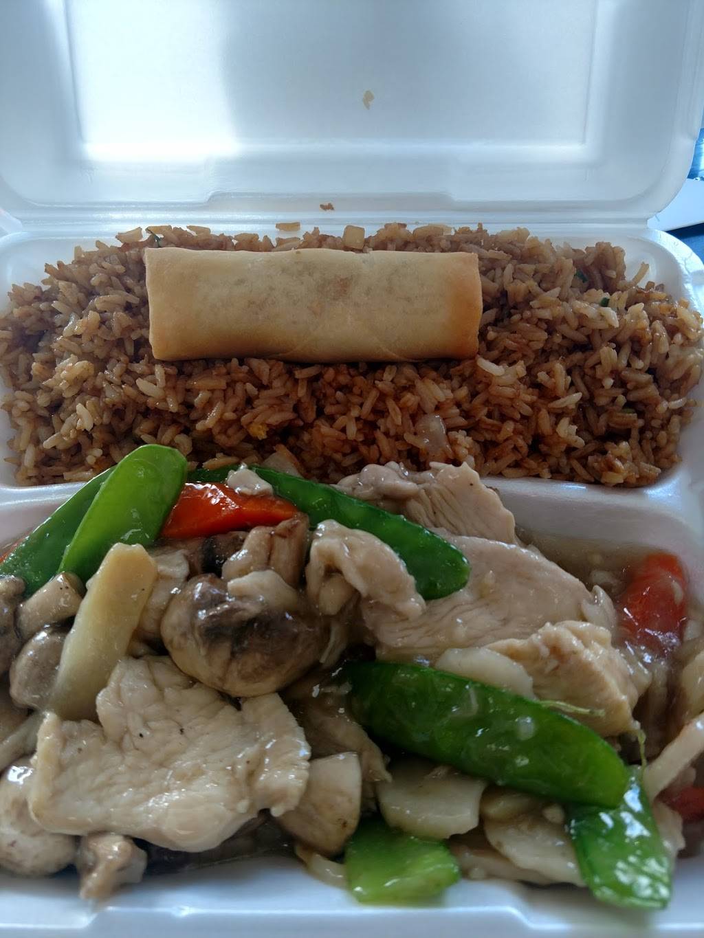 Asian Express restaurant | restaurant | 3520 Okemos Rd #10, Okemos, MI 48864, USA | 5173498865 OR +1 517-349-8865