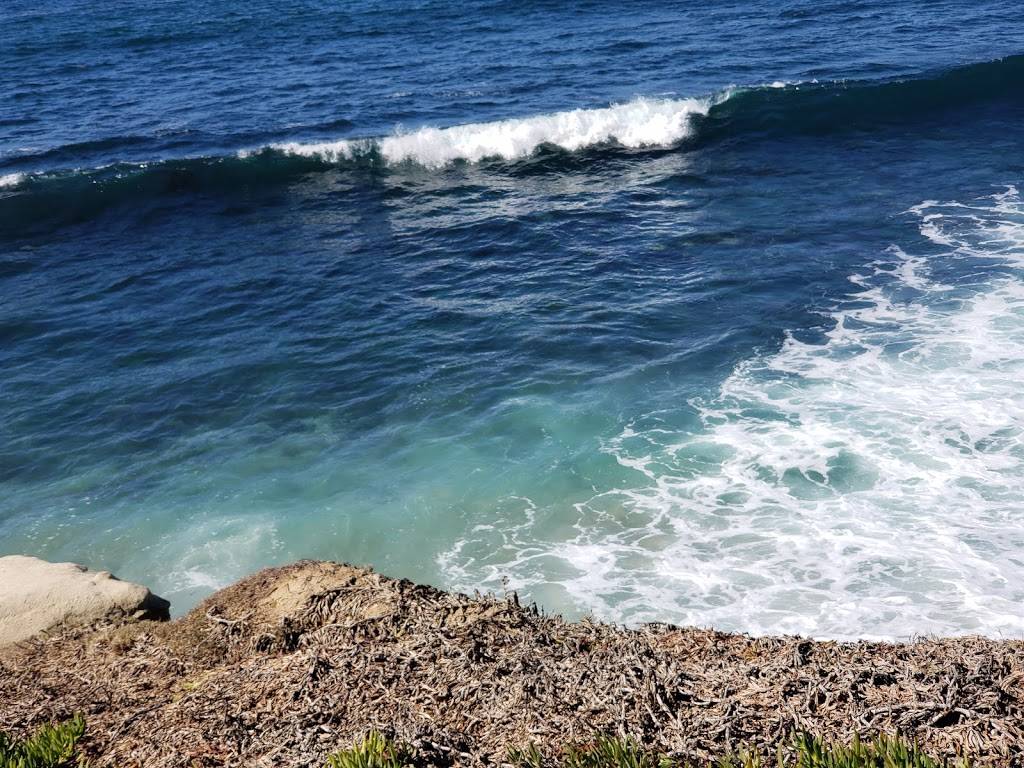 Potbelly Sandwich Shop | restaurant | 326 14th Ave SE, Minneapolis, MN 55414, USA | 6123310191 OR +1 612-331-0191