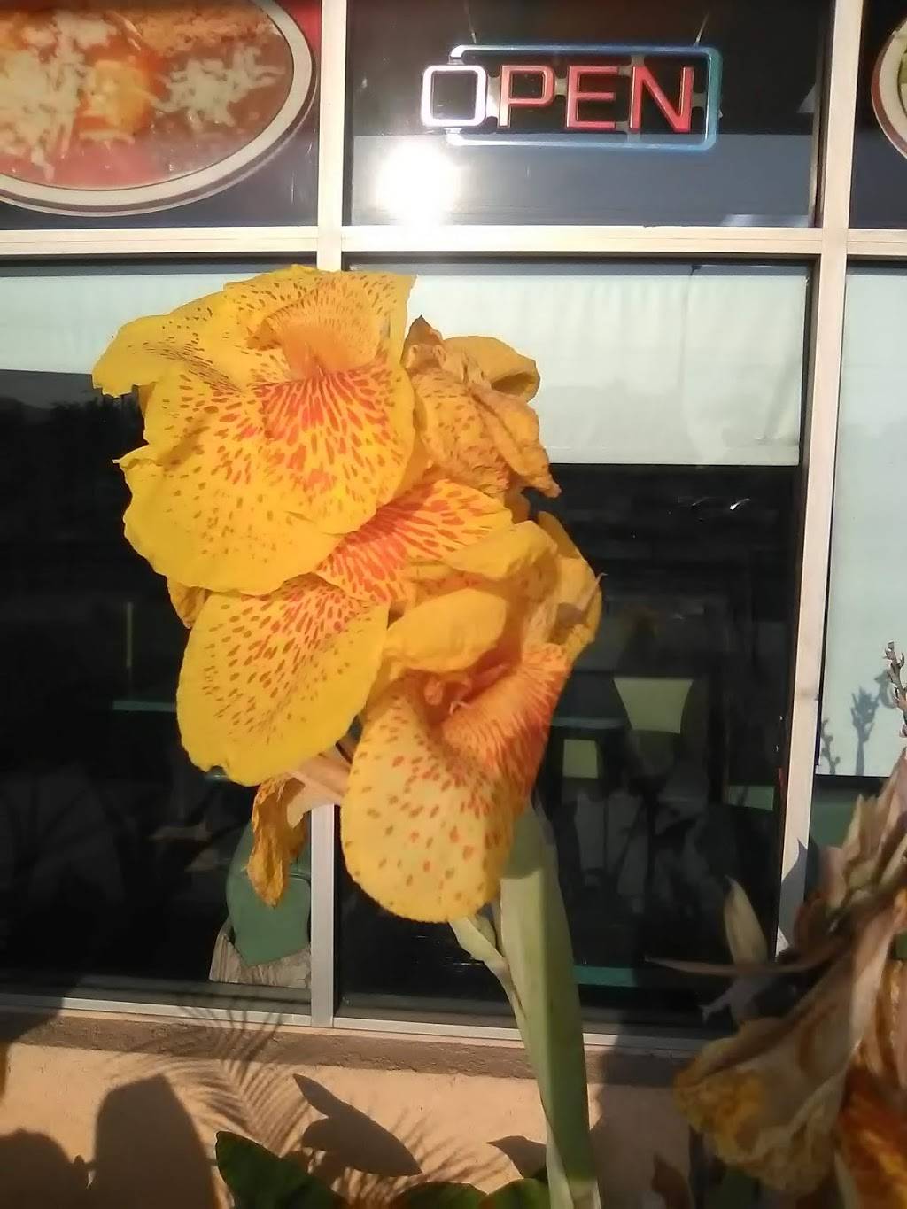 Taco Tapatio | restaurant | 502 E Foothill Blvd, Azusa, CA 91702, USA | 6269697100 OR +1 626-969-7100