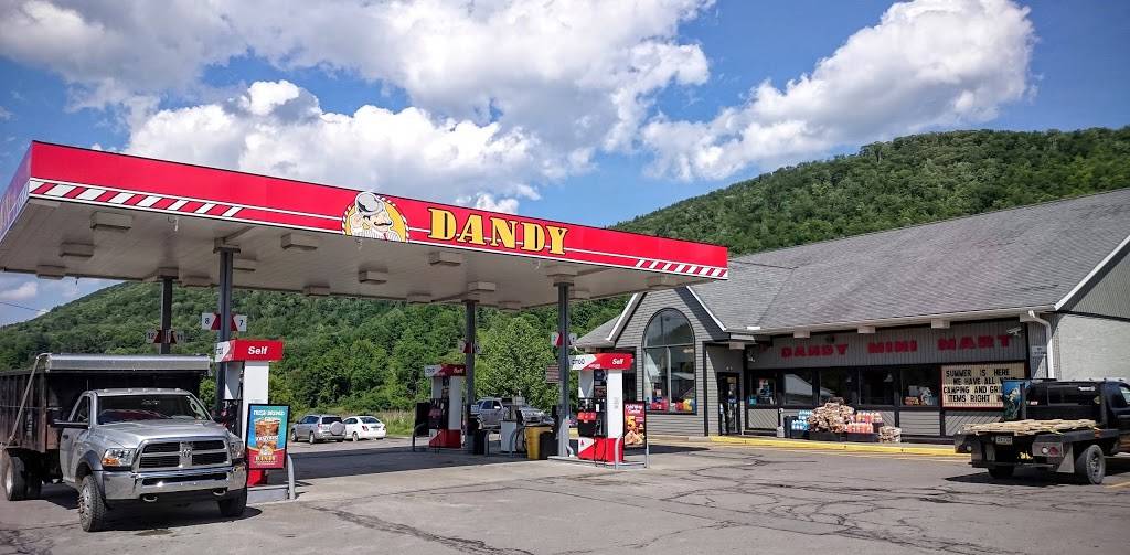 Dandy Mini Mart | meal takeaway | 7320 PA-328, Millerton, PA 16936, USA | 5705373050 OR +1 570-537-3050