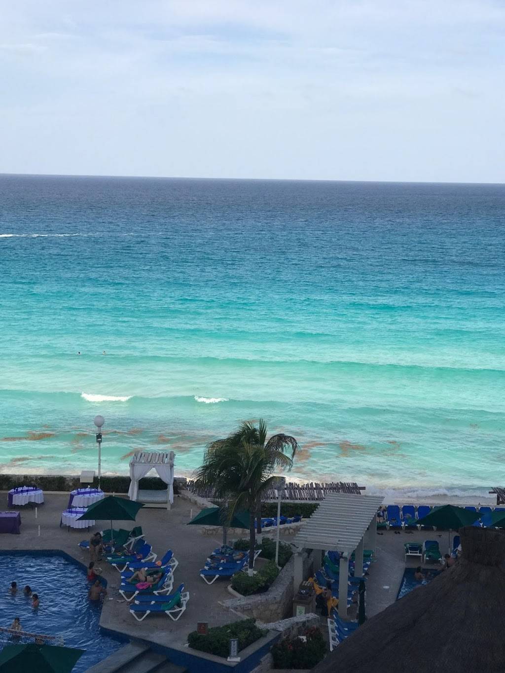 Izalco | restaurant | 8403 Richmond Hwy, Alexandria, VA 22309, USA | 7037049220 OR +1 703-704-9220