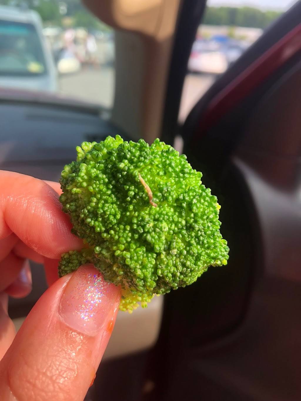 Great Wall | restaurant | 1620 Cedar Rd #107, Chesapeake, VA 23322, USA | 7575496588 OR +1 757-549-6588