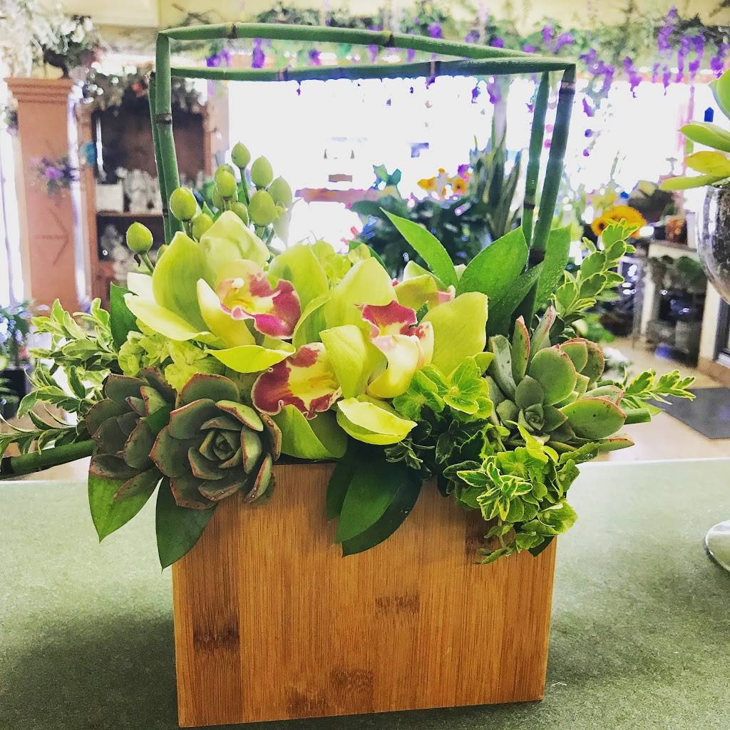 BBQ NIGHT | restaurant | 12545 E Carson St, Hawaiian Gardens, CA 90716, USA | 5629249230 OR +1 562-924-9230