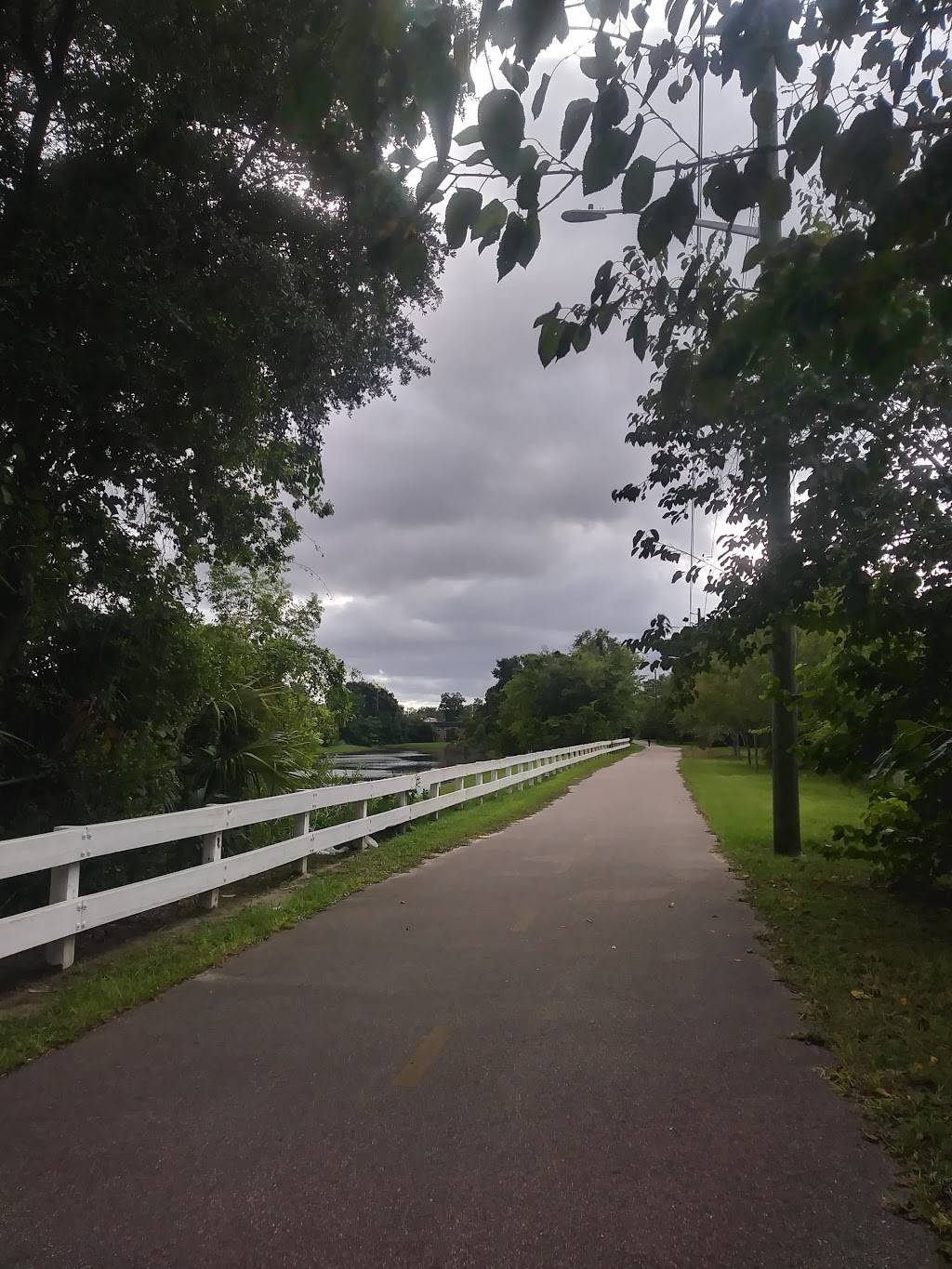 BJs Grocery Store (Flint Store) | restaurant | 2300 Moncrief Rd, Jacksonville, FL 32209, USA | 9043564341 OR +1 904-356-4341