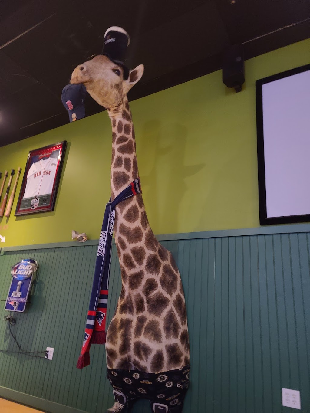 Bingas Portland | restaurant | 949 Forest Ave, Portland, ME 04103, USA | 2076994263 OR +1 207-699-4263