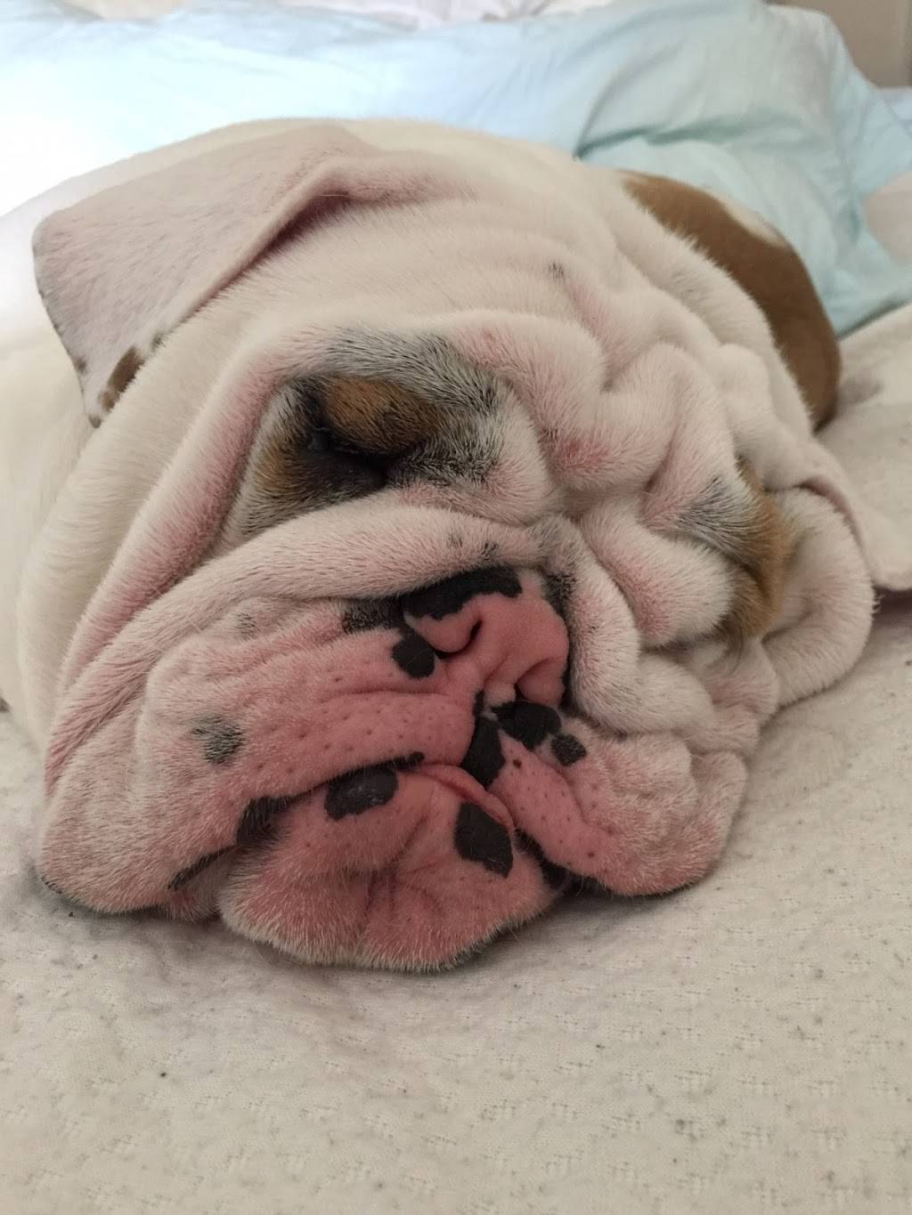 Port Side Restaurant | restaurant | 5627, 321 Great Island Rd, Narragansett, RI 02882, USA | 4017833821 OR +1 401-783-3821