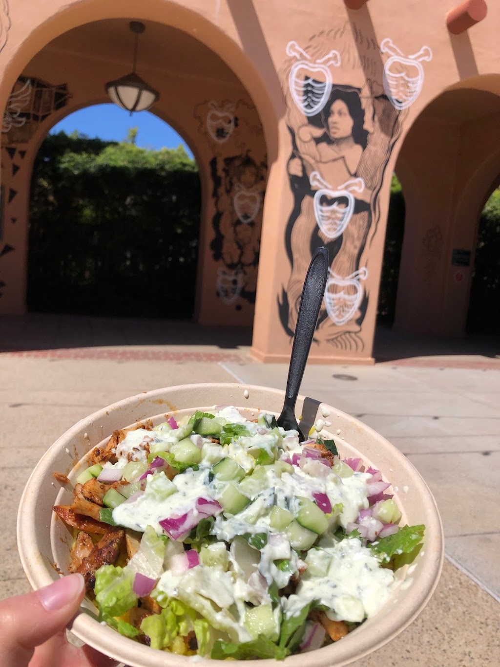 Kebab Craft | restaurant | 2820 Historic Decatur Rd, San Diego, CA 92106, USA | 6195010394 OR +1 619-501-0394