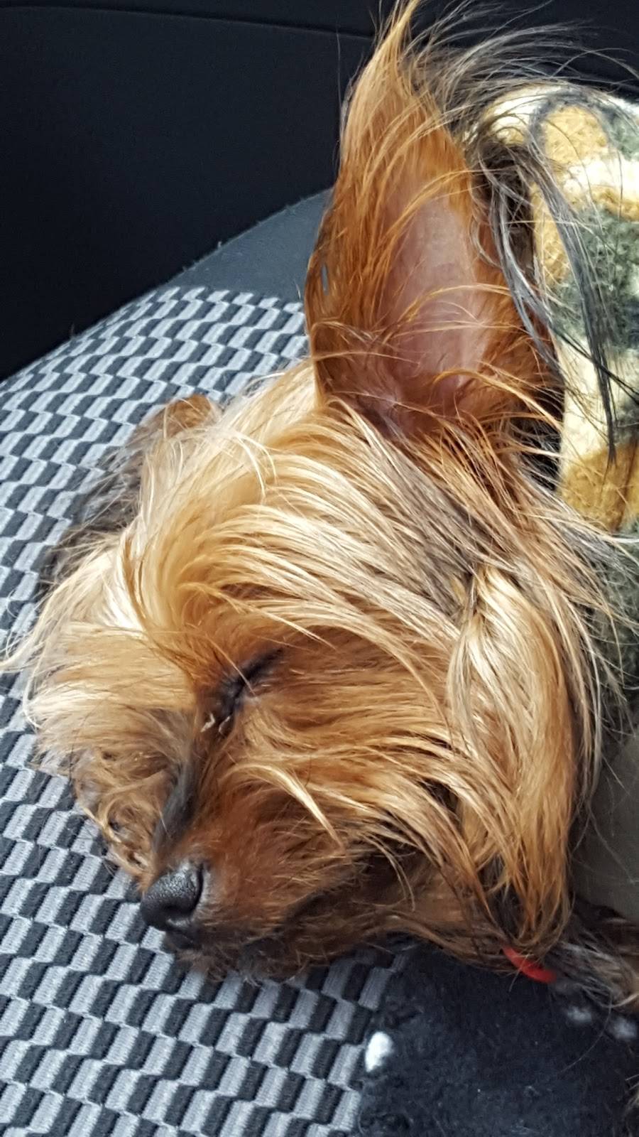 La marina de repentigny | restaurant | 364 Rue Notre-Dame, Repentigny, QC J6A 2S5, Canada | 4505817071 OR +1 450-581-7071