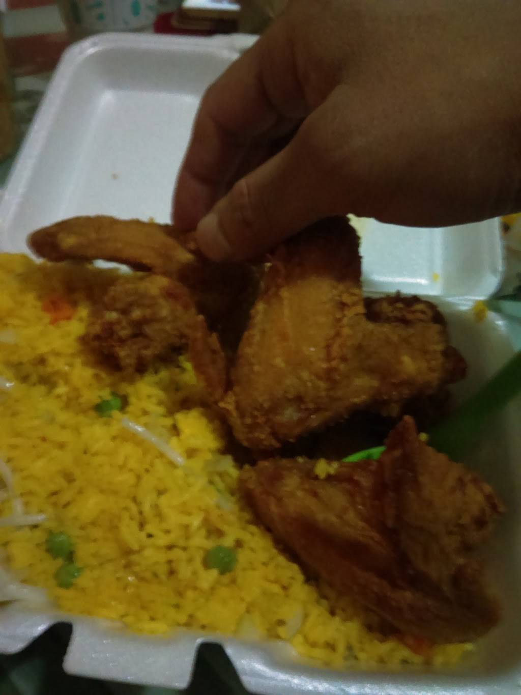 Happy Garden | restaurant | 7211 3rd Ave, Brooklyn, NY 11209, USA | 7187481113 OR +1 718-748-1113